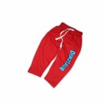 Blue & Red Dinosaur Print Summer Co-ord Set