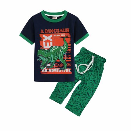 A Dinosaur Summer Garment Suit