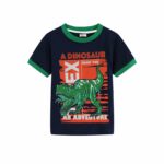A Dinosaur Summer Garment Suit