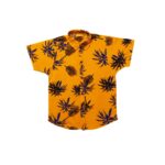 Sunny Palm Adventure Set