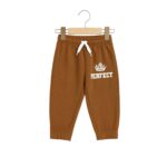 Boys Dino Printed Hoodie Tracksuit – Brown